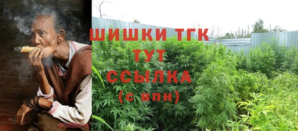 сатива Слюдянка